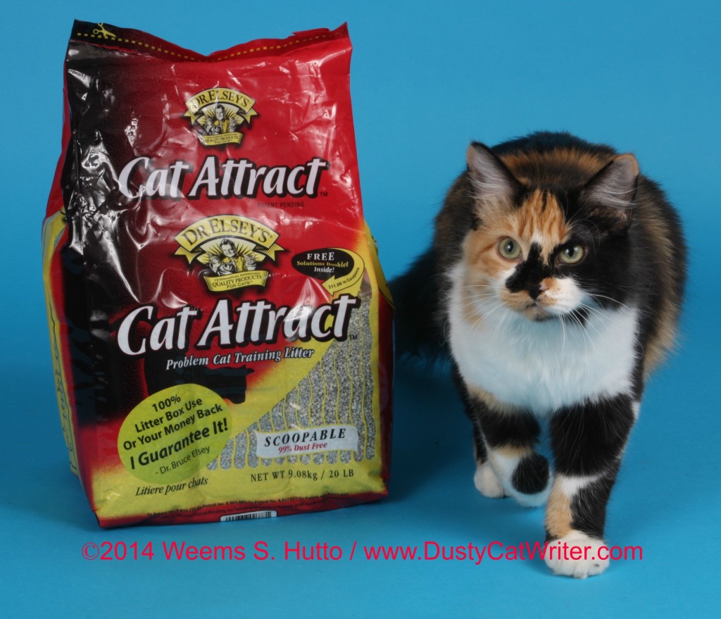 PreciousCat Dr. Elsey's Cat Attract Litter Giveaway & Review Dusty