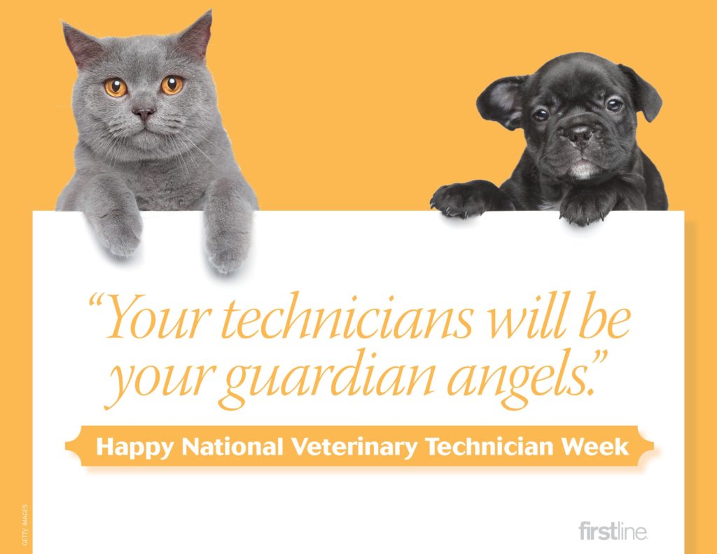 Thank You Veterinary Nurses It's National Veterinary Technician Week