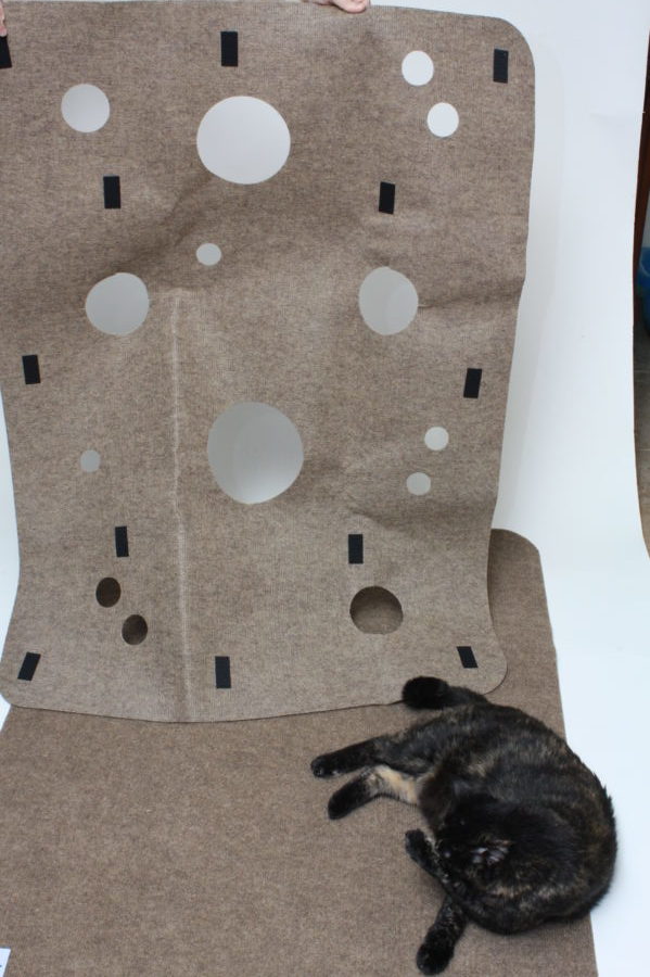 Cat Activity Play Mat - A Ripple Rug Review - Cool Stuff for Cats