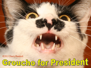 Groucho for President