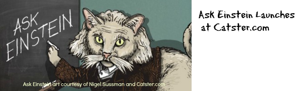 Ask Einstein Teams Up with Catster.com