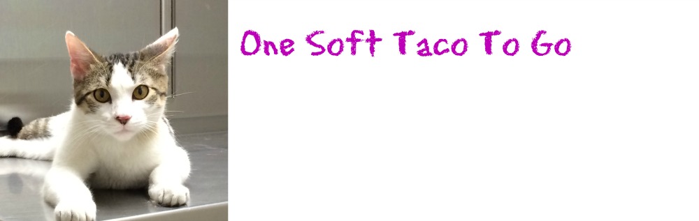 One Taco to Go