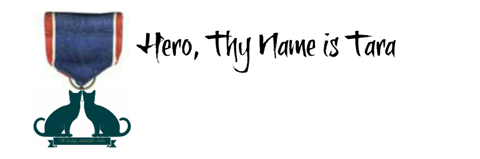 Hero, Thy Name is Tara #herocat
