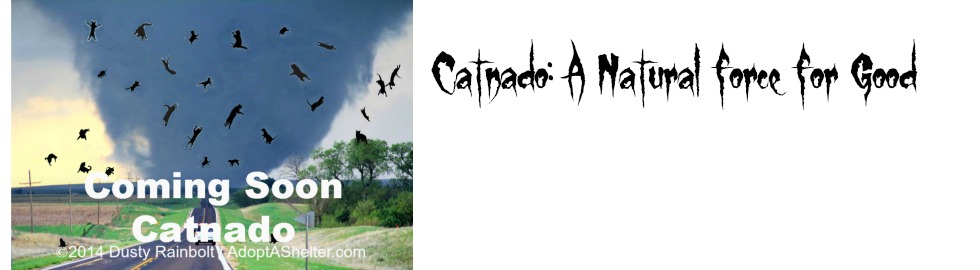 Catnado, A Natural Force for Good