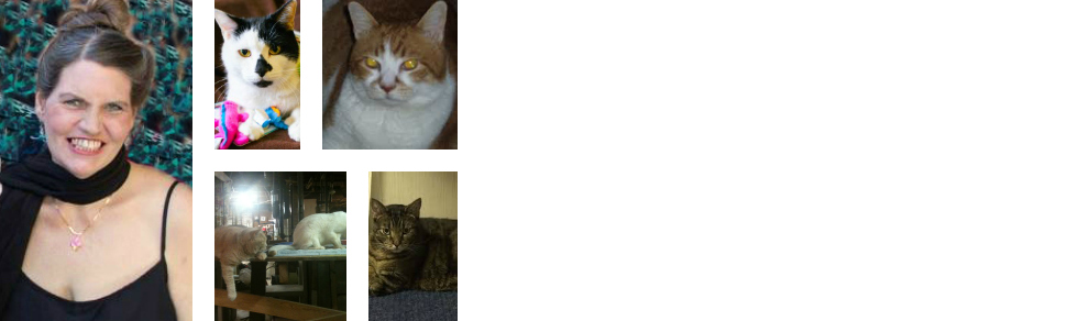 Mission Accomplished: Lorie’s Kitties are Rehomed