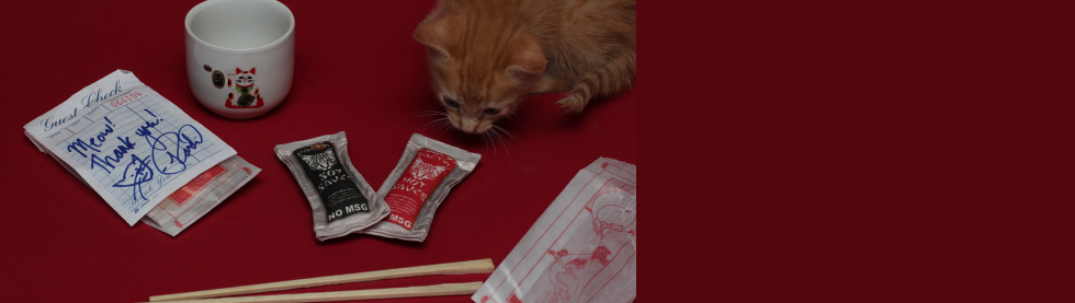 Polydactyl Cats Asian Sauce Packet Cat Toy Set #Giveaway
