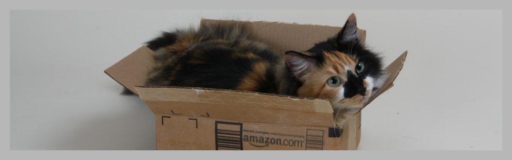 Researchers Determine Boxes Reduce Feline Stress