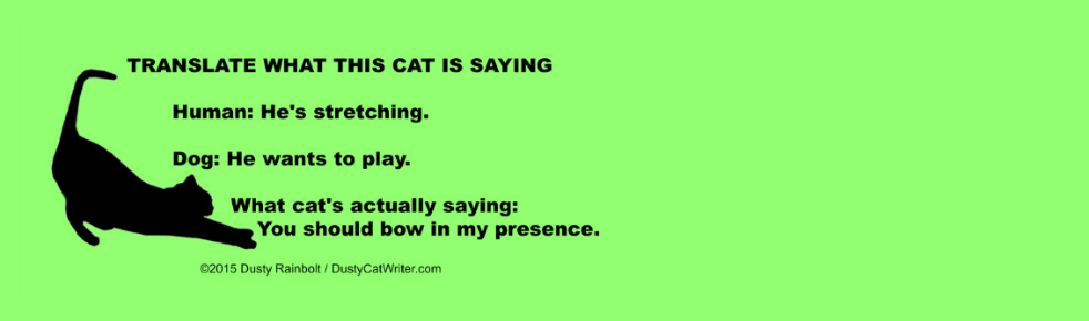 Cat Translator App Angers Kitty