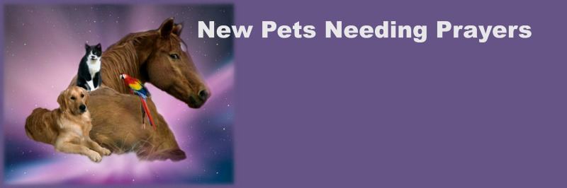 New Names of  Pets Needing Prayers