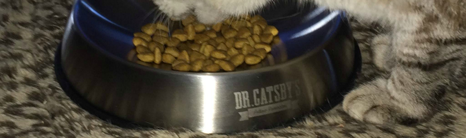Dr. Catsby’s Feline Remedies Bowl for Whisker Fatigue #giveaway