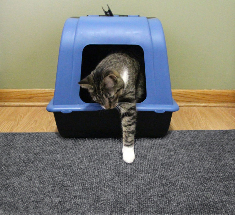 Drymate® Litter Trapping Mat for Happy Cats and Happy Floors Dusty