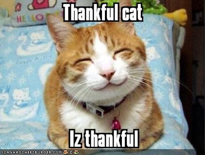 thankfulcat