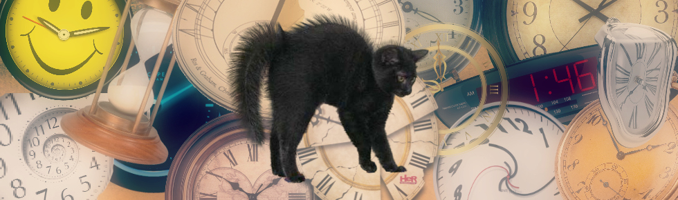 Spring Forward with Cats—The Daylight Savings Time Dilemma