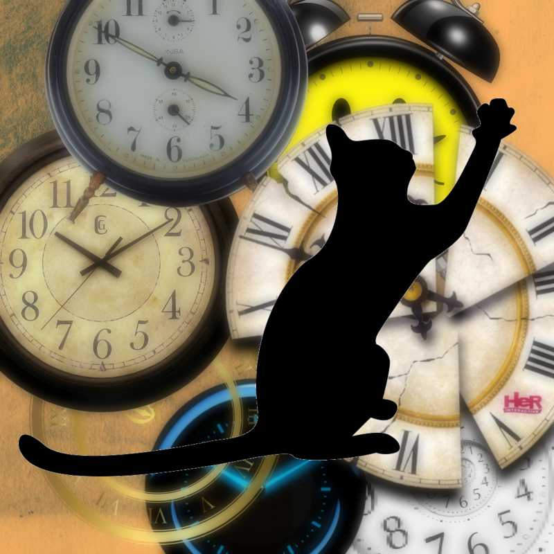 Cats hate when we spring forward