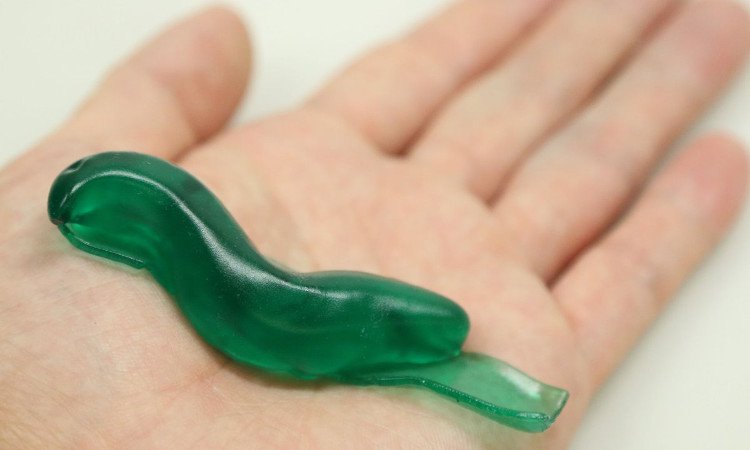 Gooey Slug Slime Medical Adhesive Inspire Tomorrow’s Wound Care