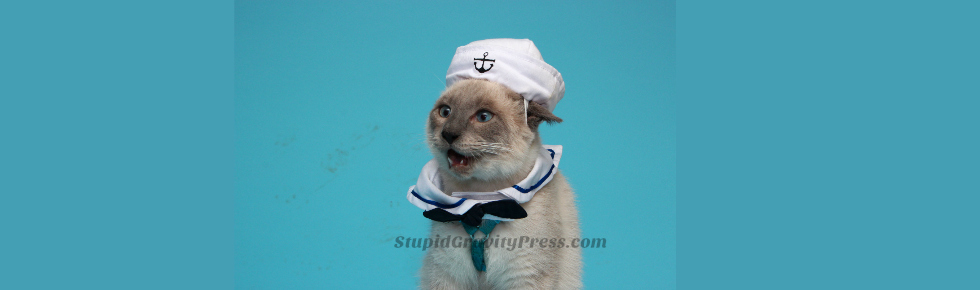 Cat Halloween Costumes–Or 4 Ways to Embarrass Your Pet