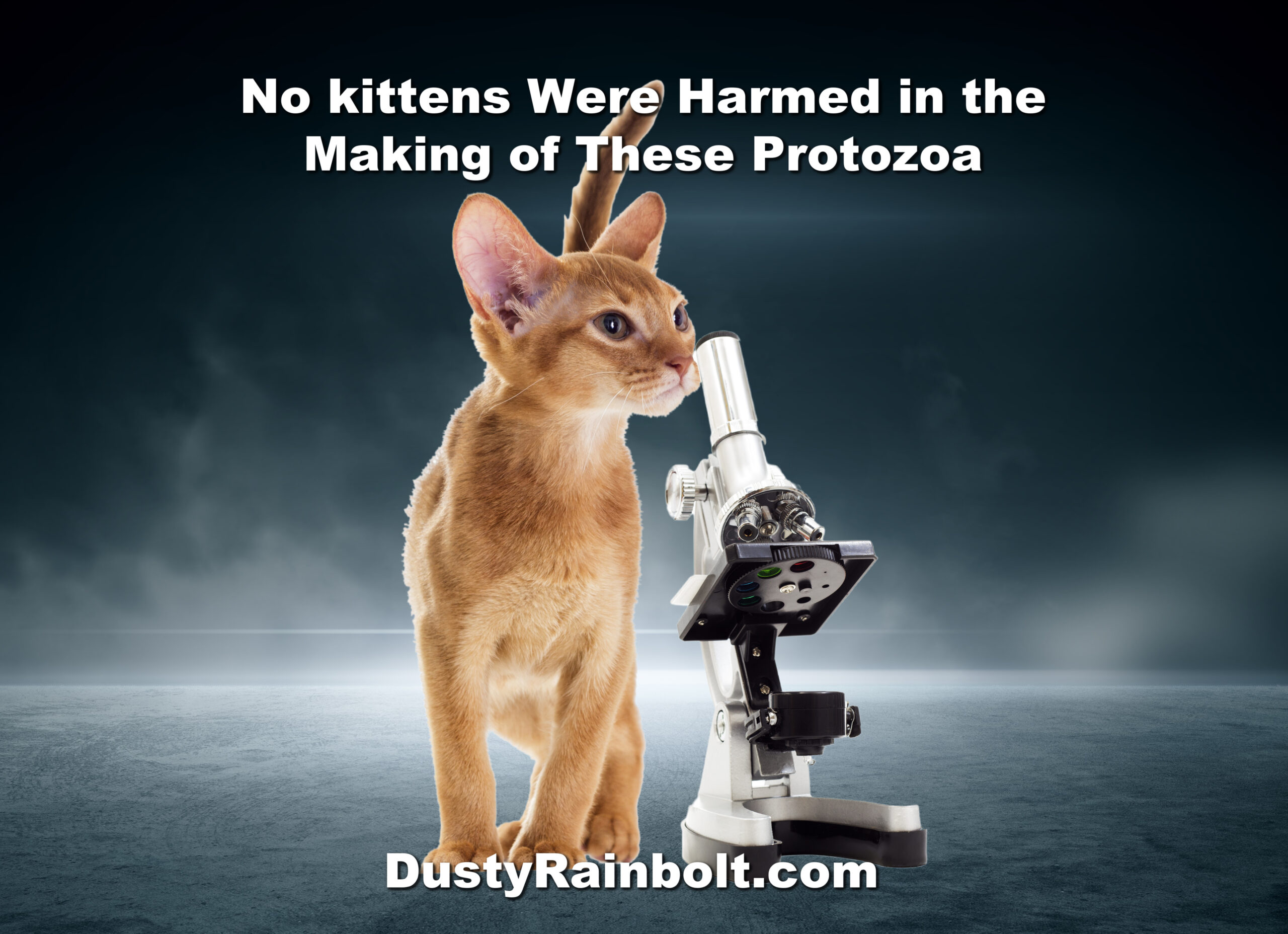 Toxoplasmosis Research: No Kittens Were Harmed in the Making of This Protozoa